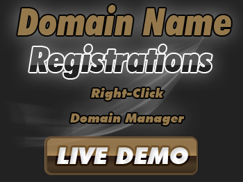 Modestly priced domain name service providers